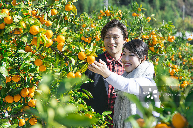 旅途 旅行 旅行者图片素材