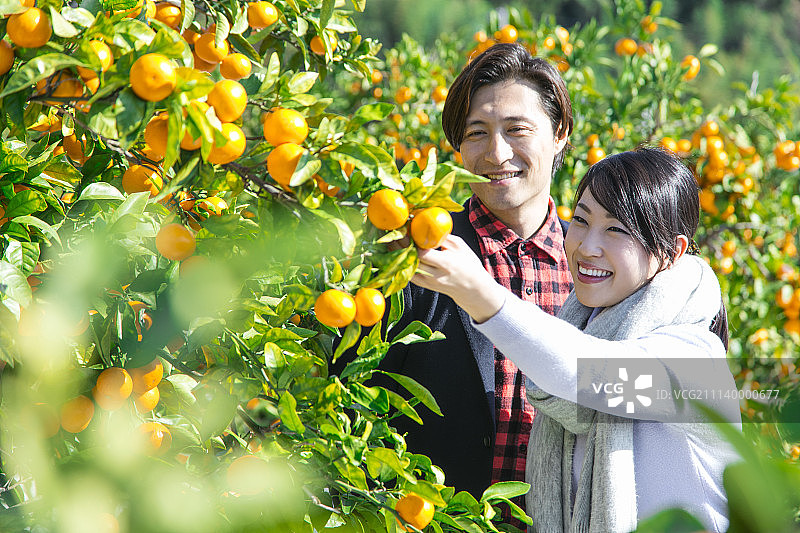 旅途 旅行 旅行者图片素材