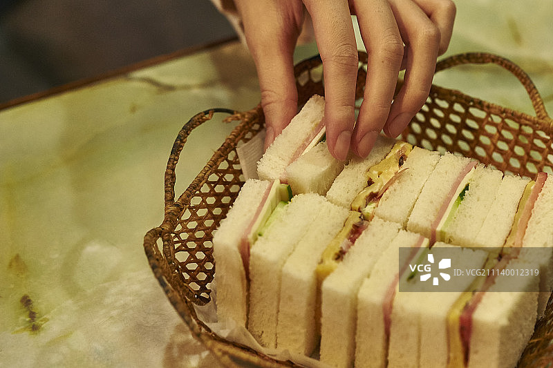 日本家养动物图片素材