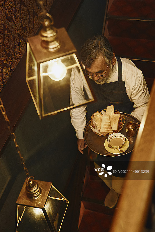 日本家养动物图片素材