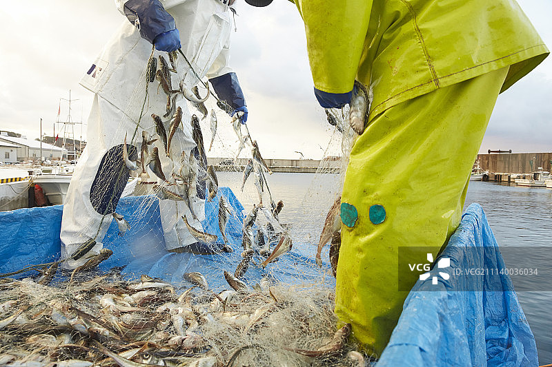 费希尔渔夫捕鱼图片素材