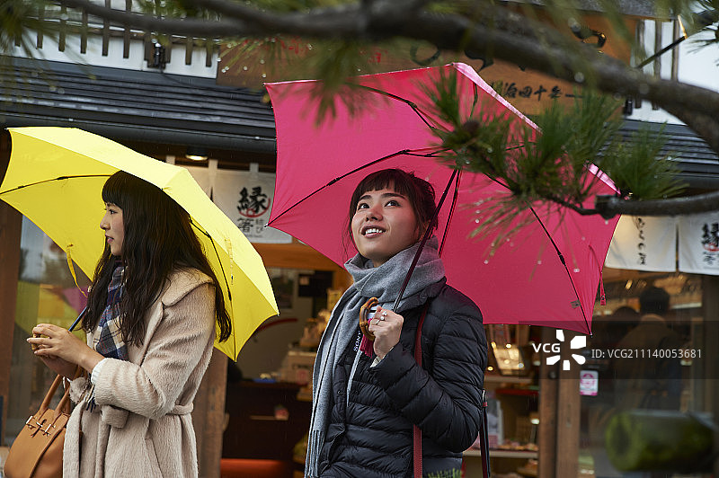 旅游业 观光 游览图片素材