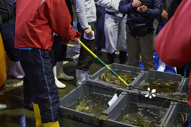 人 人物 人类图片素材