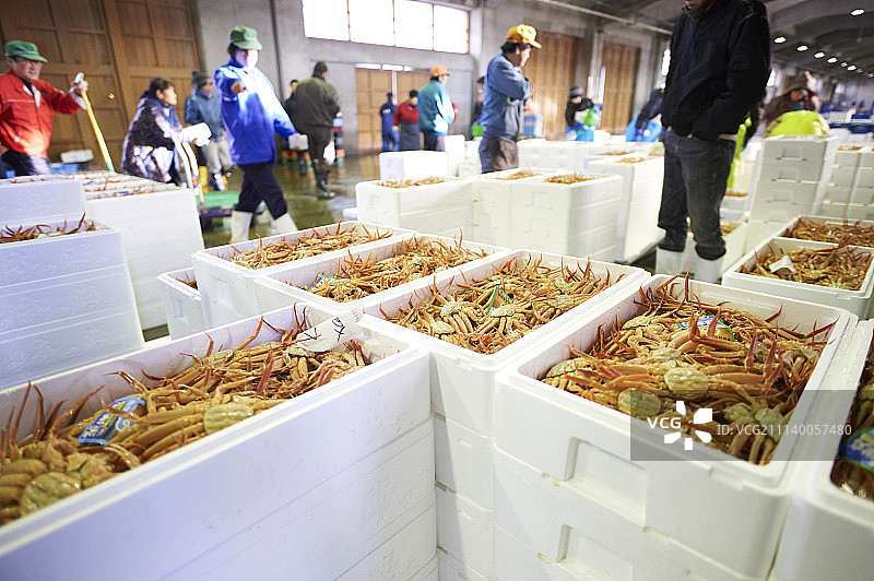 渔业 鱿鱼 蟹图片素材