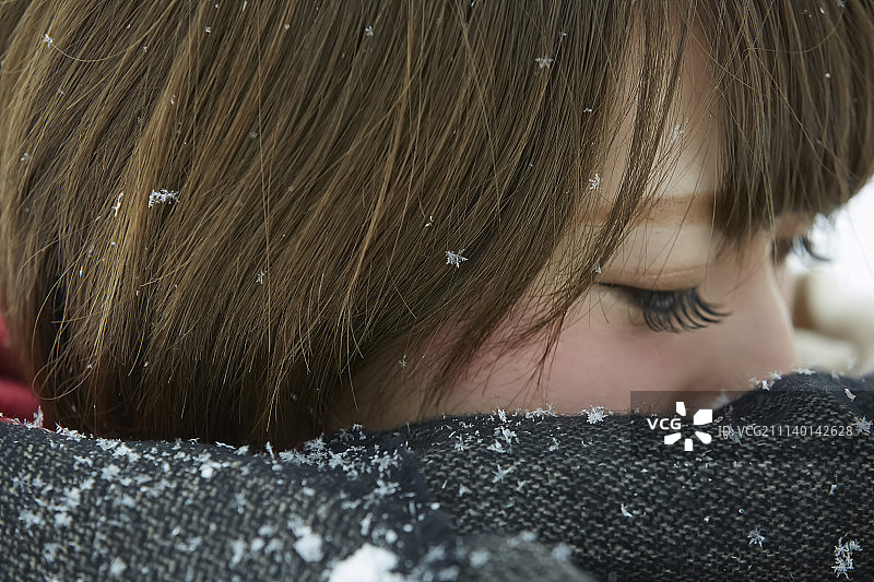 东北地区 东北 秋田图片素材