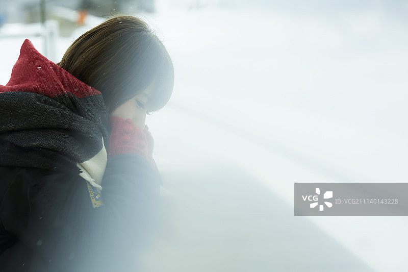 东北地区 东北 秋田图片素材