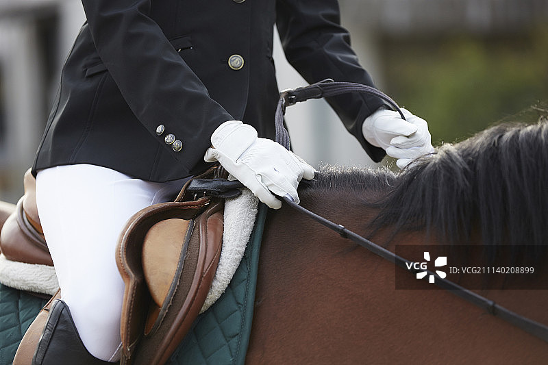 人 人物 人类图片素材