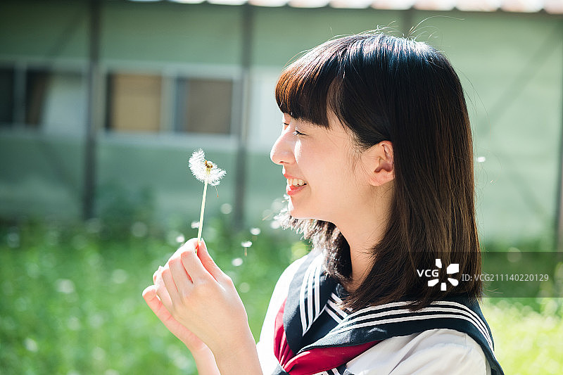 高中女生 庭院 蒲公英图片素材