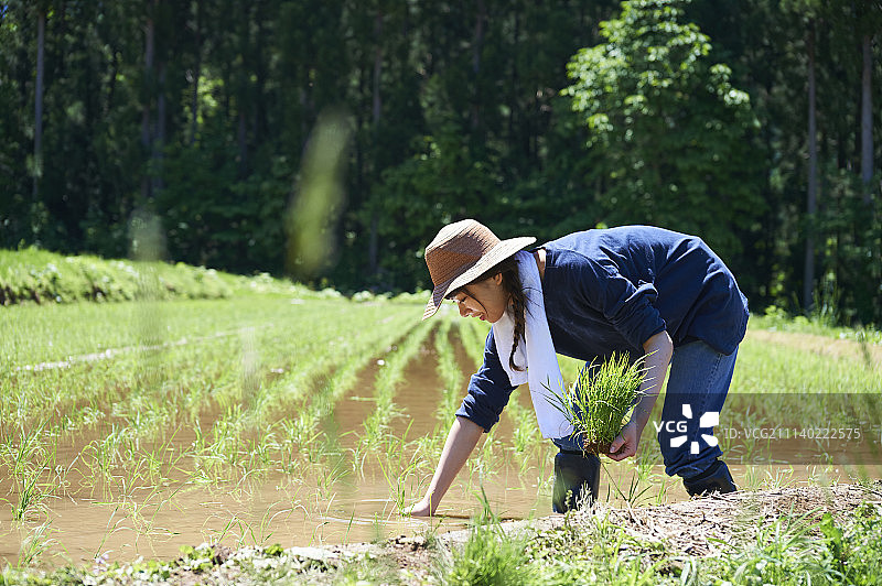 女性 女 女人图片素材