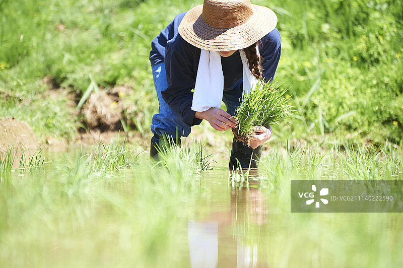 人 人物 人类图片素材