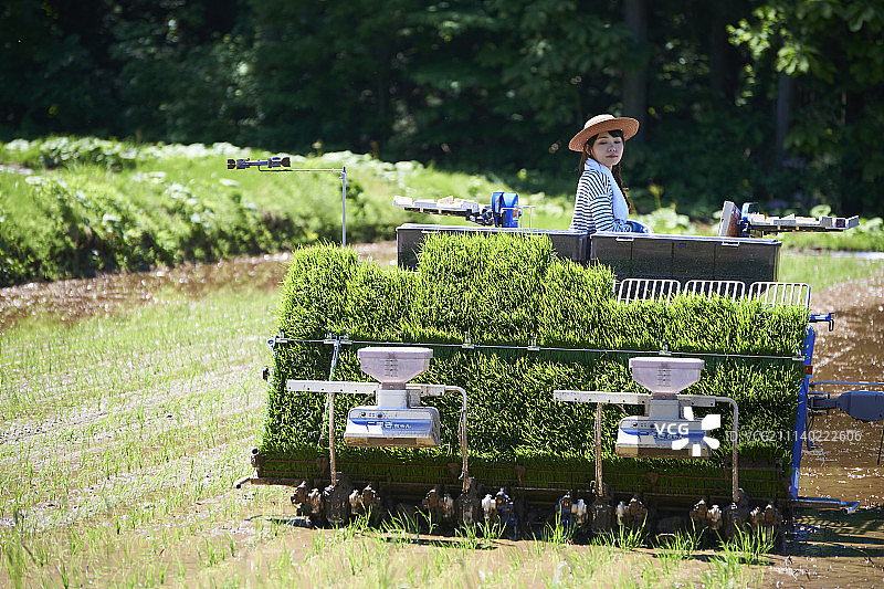 女性 女 女人图片素材