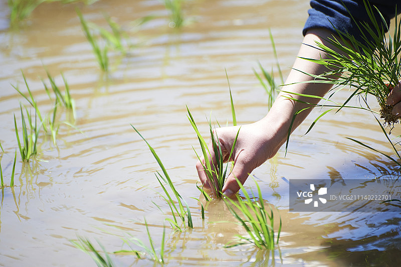农民农夫农舍图片素材