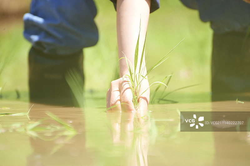 人 人物 人类图片素材