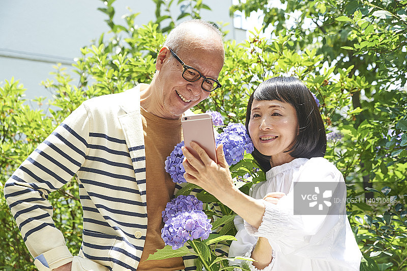 人 人物 人类图片素材