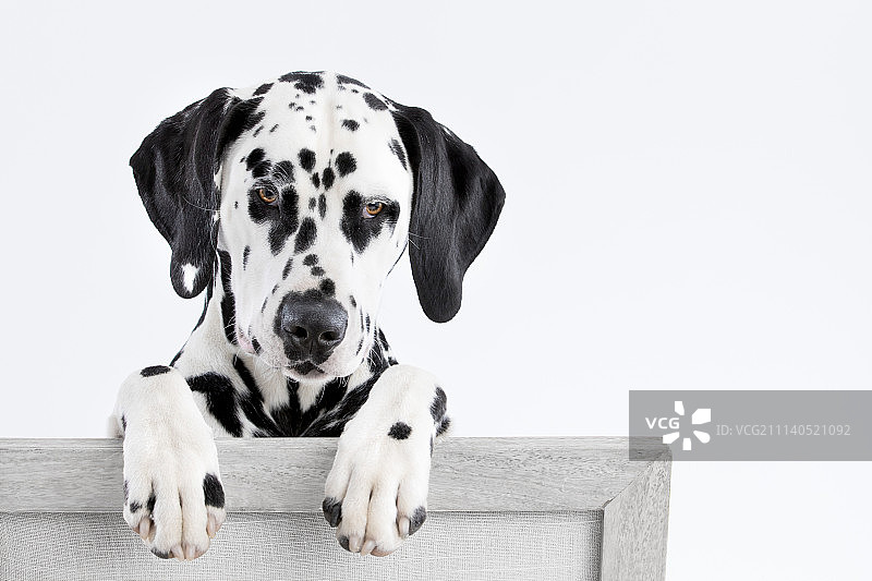 罗丹的《思想者》图片素材