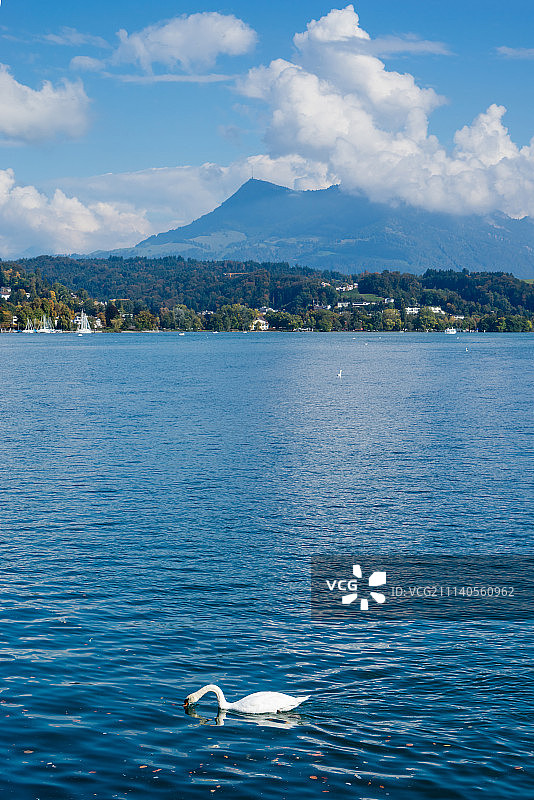 瑞士卢塞恩图片素材