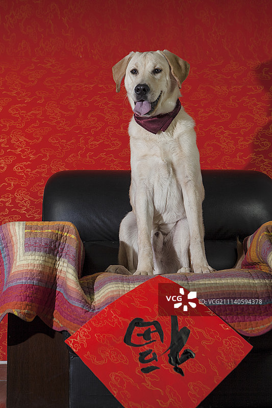 狗年春节图片素材