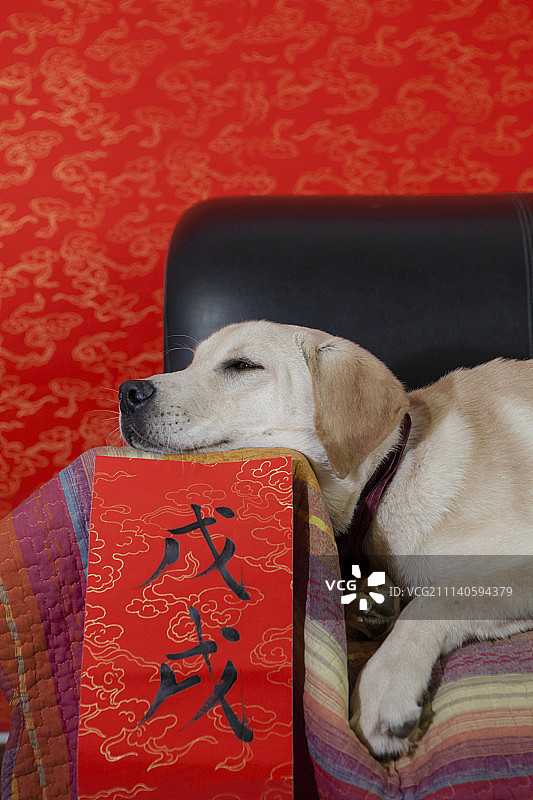 狗年春节图片素材