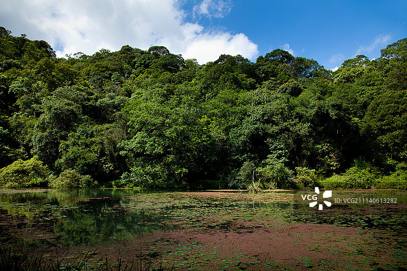 宜兰,福山植物园图片素材
