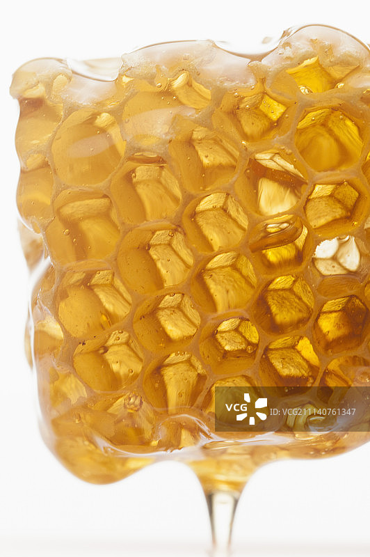 蜂巢,蜂蜜图片素材