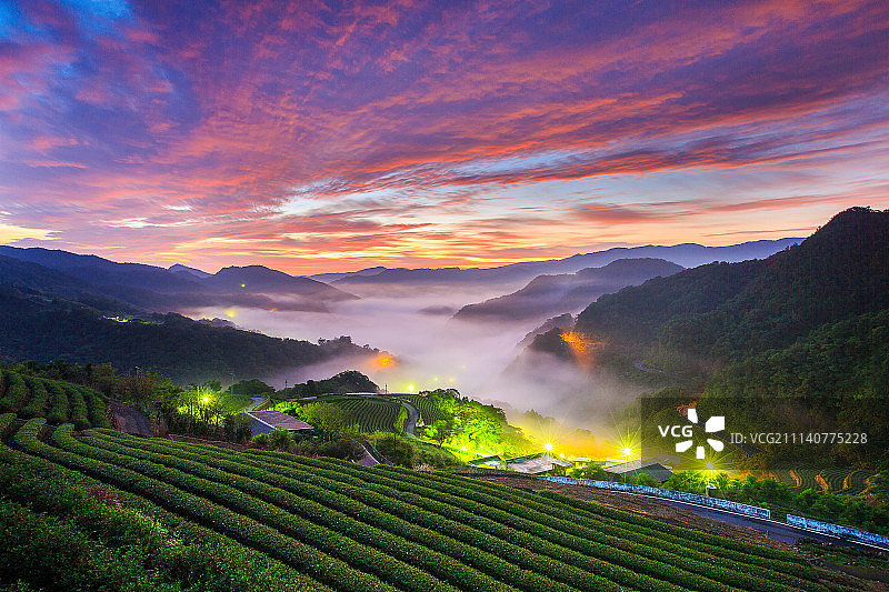 新台北，坪林，茶园图片素材