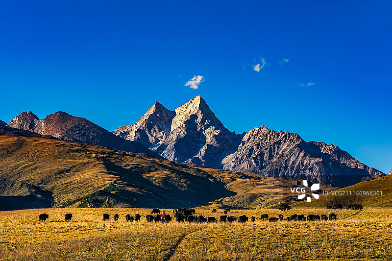 格聂神山风光图片素材