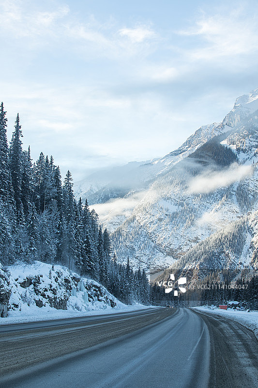 森林雪地路况图片素材