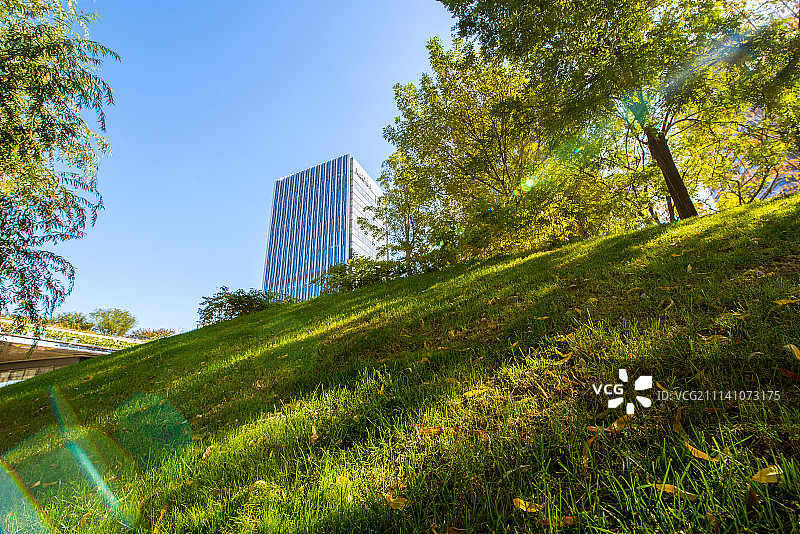 草地建筑群图片素材