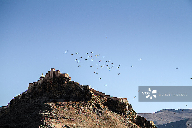 和平鸽飞过宗山古堡图片素材
