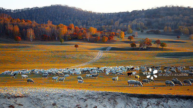 乌兰秋韵图片素材