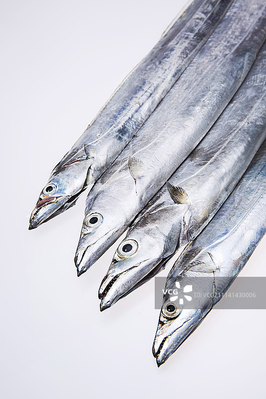 白色背景上孤立的新鲜未煮过的带鱼图片素材