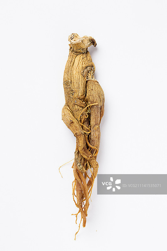 白底的干红参图片素材