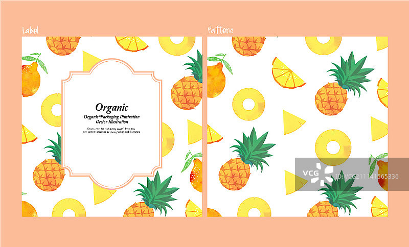 矢量素材：具有无缝图案的包装设计图片素材