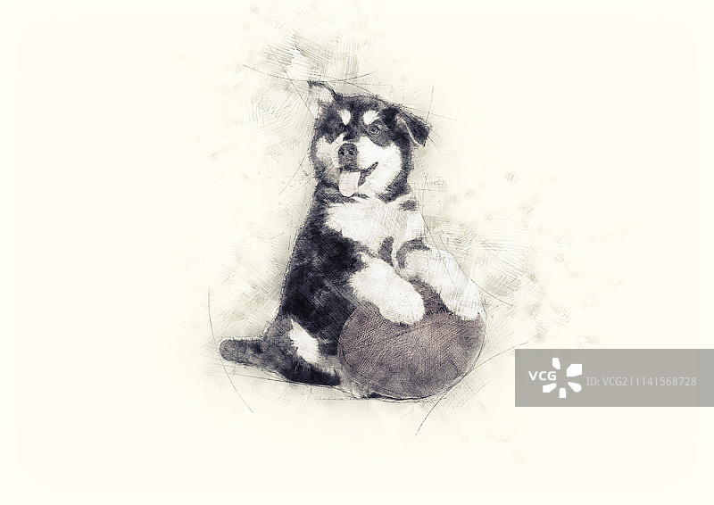狗狗插画图片素材