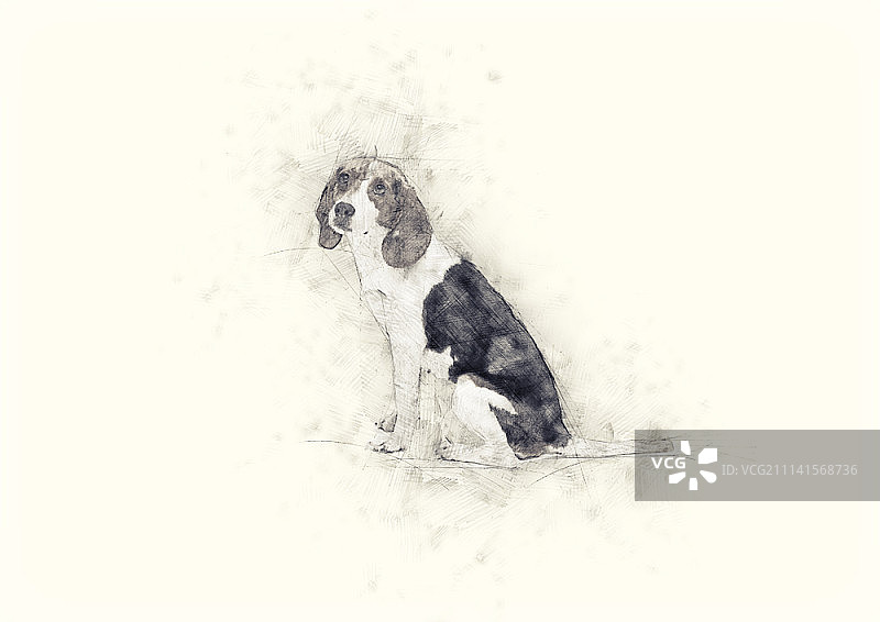 狗狗插画图片素材