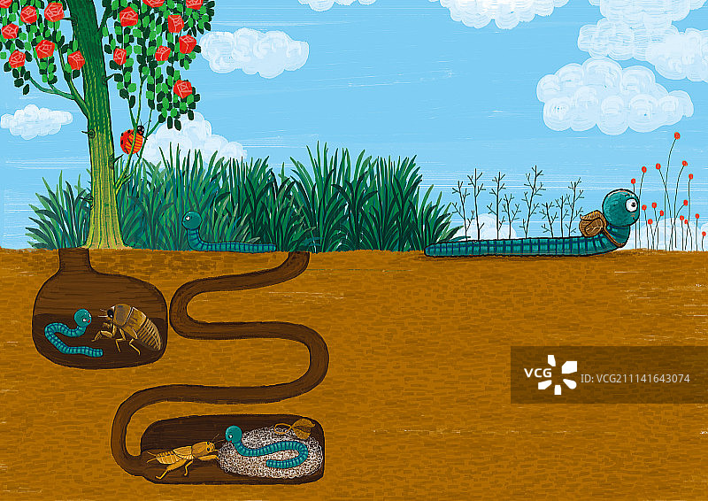 图画书系列《蚯蚓旅行记》（共6幅）6-10-11图片素材