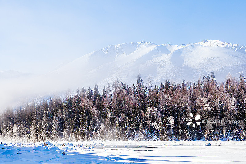 喀纳斯之冬图片素材