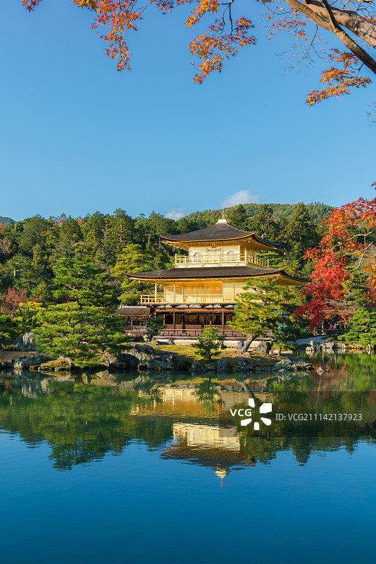 秋季金阁寺图片素材