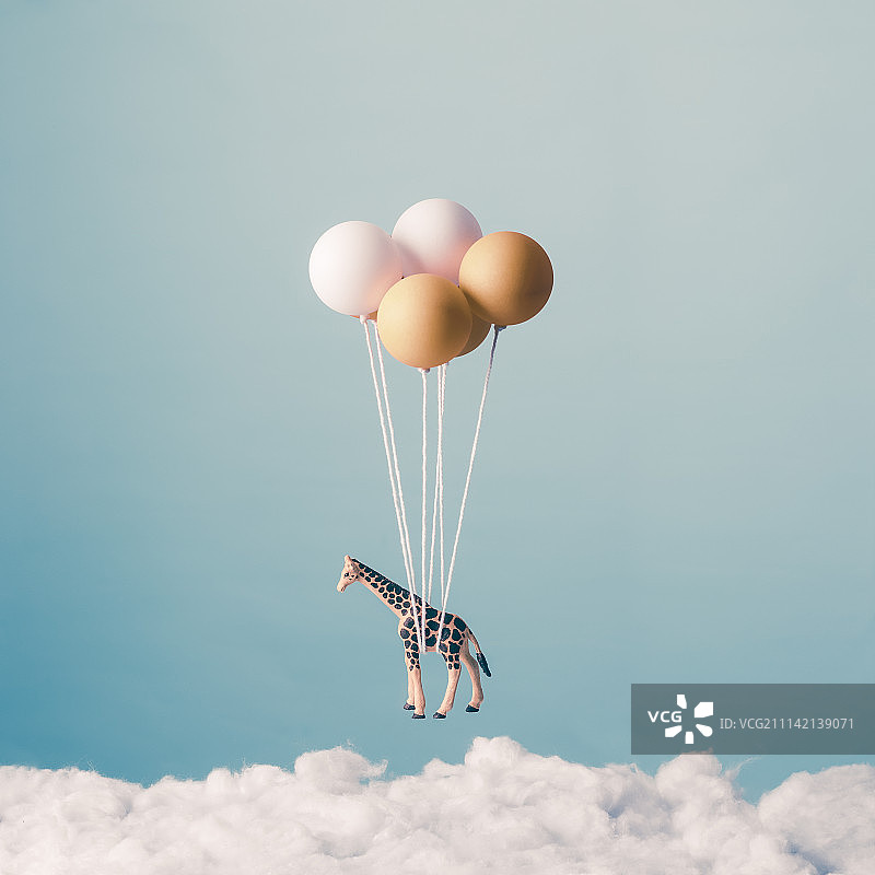 长颈鹿的梦想图片素材