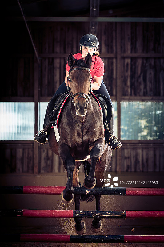 马术障碍赛图片素材