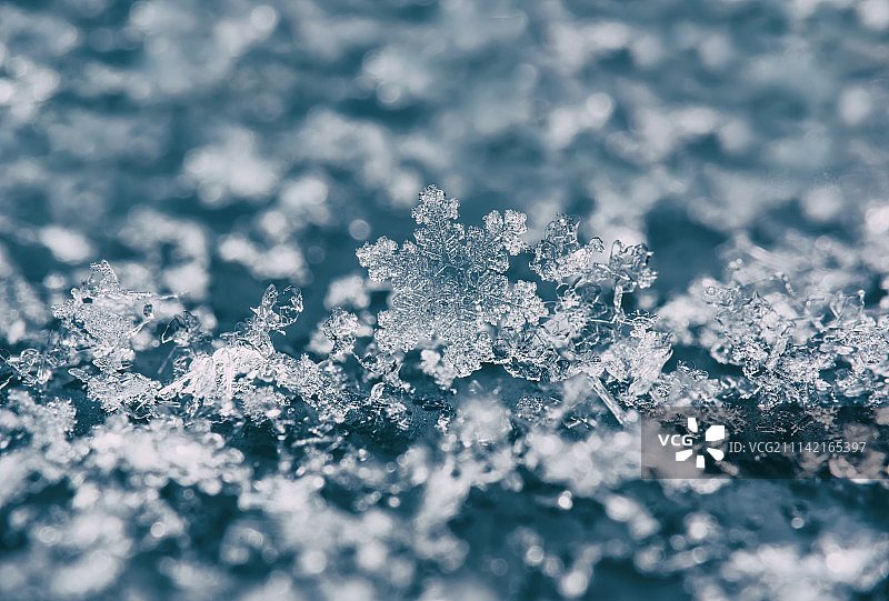 晶莹的雪花图片素材