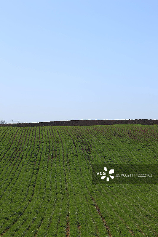 韩国白天风景草地图片素材