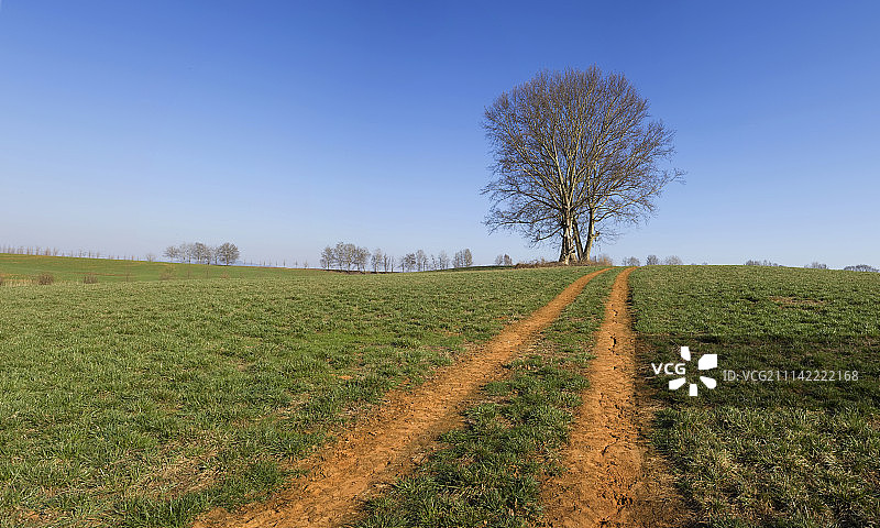韩国白天风景草地图片素材