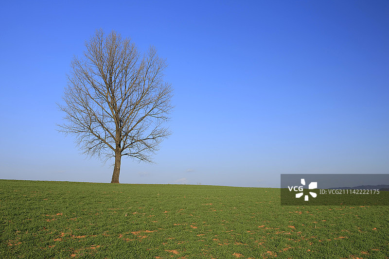 韩国白天风景草地图片素材