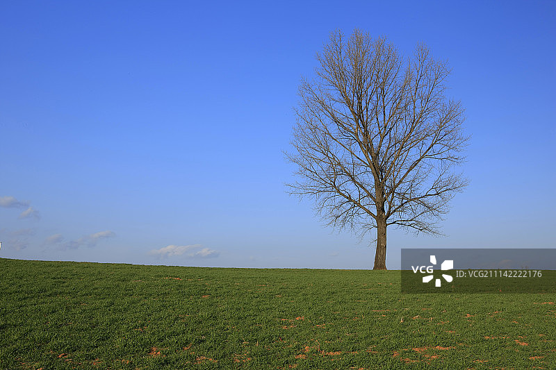 韩国白天风景草地图片素材