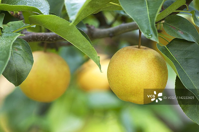 户外风景图片素材