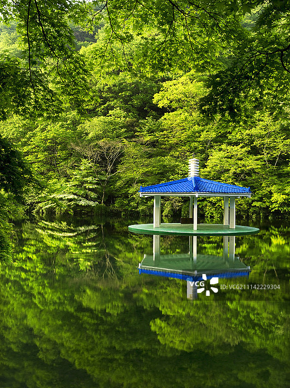 韩国户外自然景观树木图片素材
