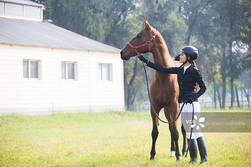 年轻女子牵着一匹马图片素材