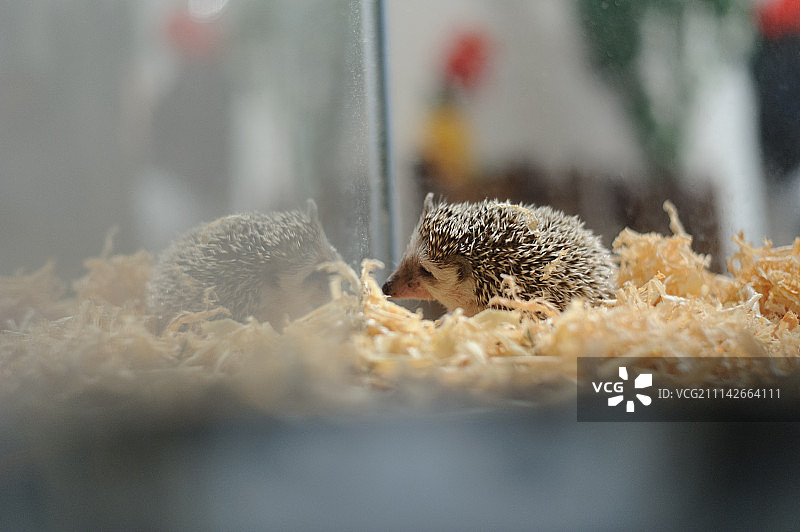 你是谁？图片素材