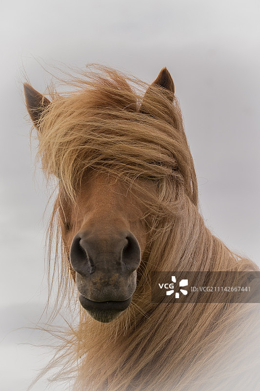 冰岛塞尔福斯图片素材